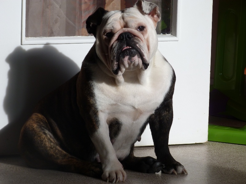 Publication : Of Shylyn Forever Auteur : SANDRA LEBOEUF