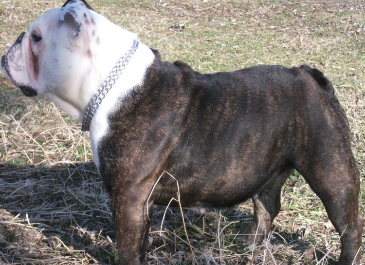 Publication : Of Shylyn Forever Auteur : SANDRA LEBOEUF