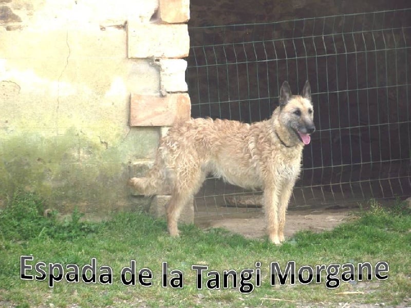 Publication : (Sans Affixe) Auteur : vermeulen emilie