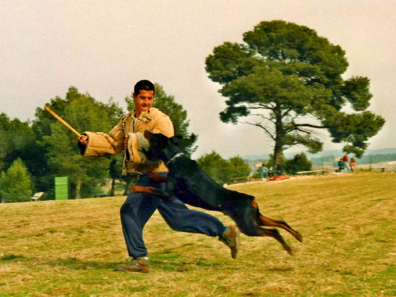 Publication : Des Princes De Klève