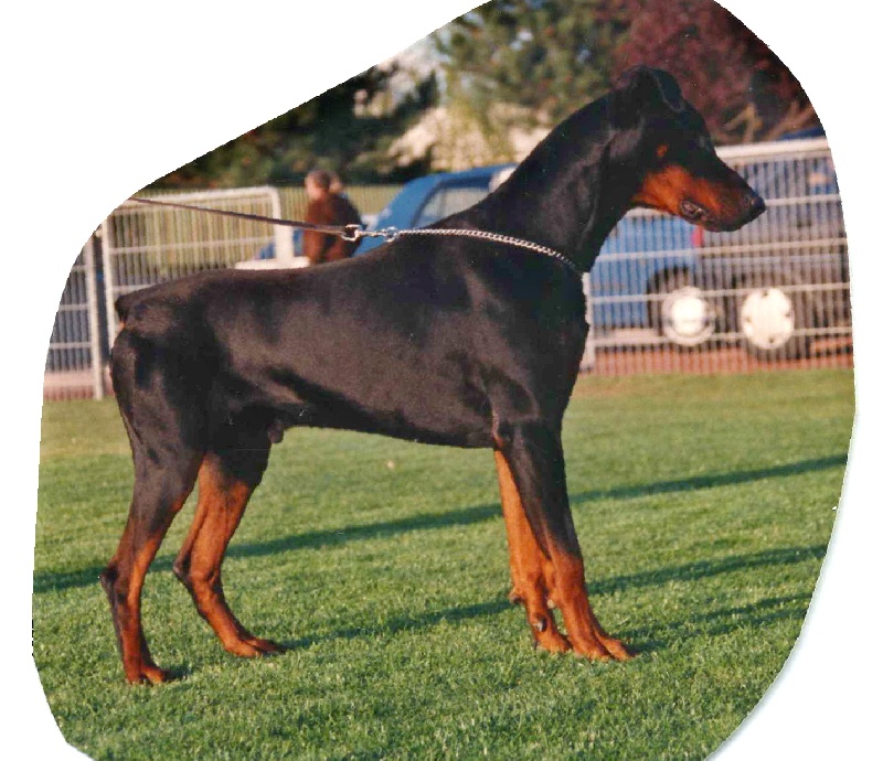 Publication : Des Princes De Klève