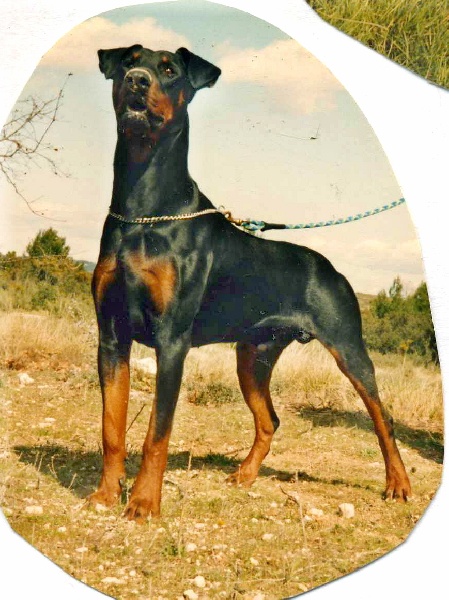 Publication : Des Princes De Klève