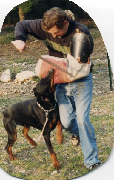 Publication : Des Princes De Klève