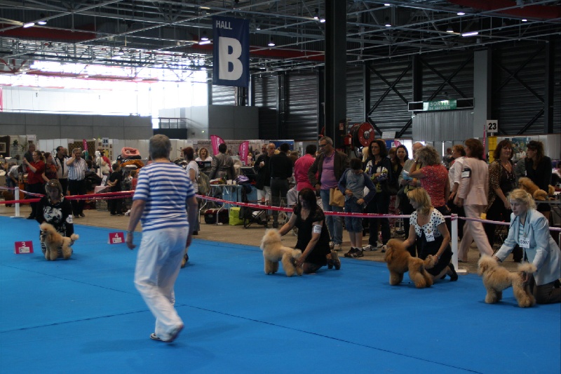 CH. Eden du petit lord