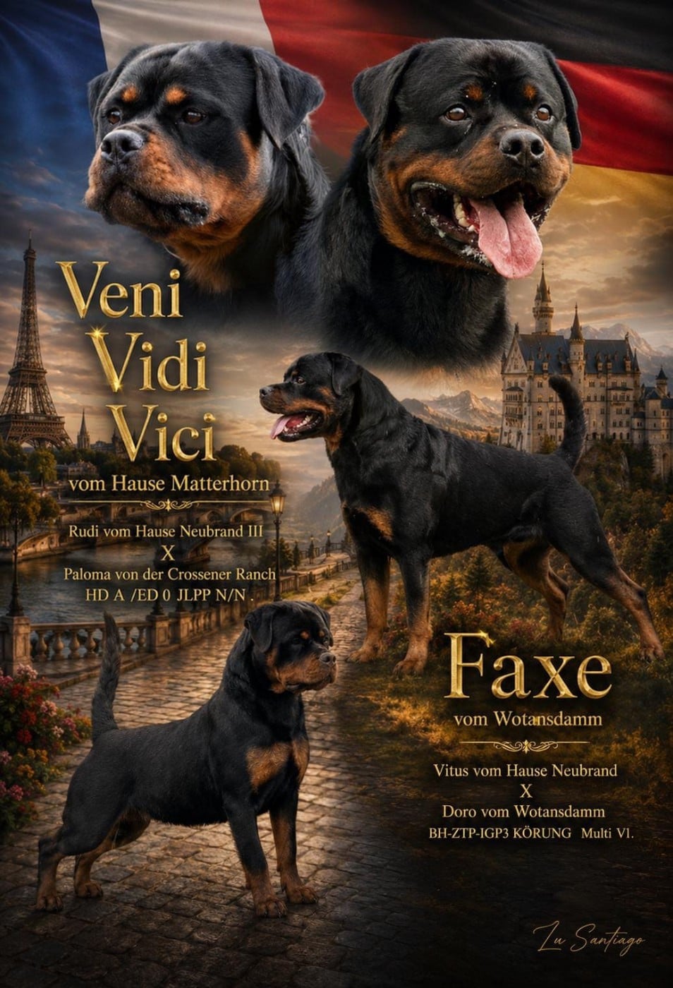Rottweiler - Vom Hause Matterhorn