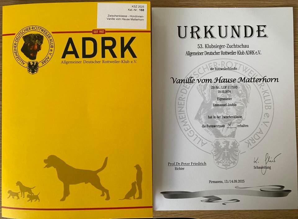 Vanille Vom Hause Matterhorn - V (Excellent) - classe intermédiaire