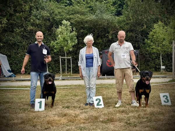 Vanille Vom Hause Matterhorn - V1 - JCAC , meilleure jeune