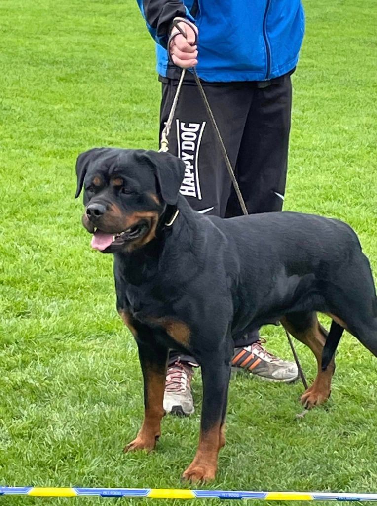 Vivi von der muhlbachstrasse - V , classe ouverte