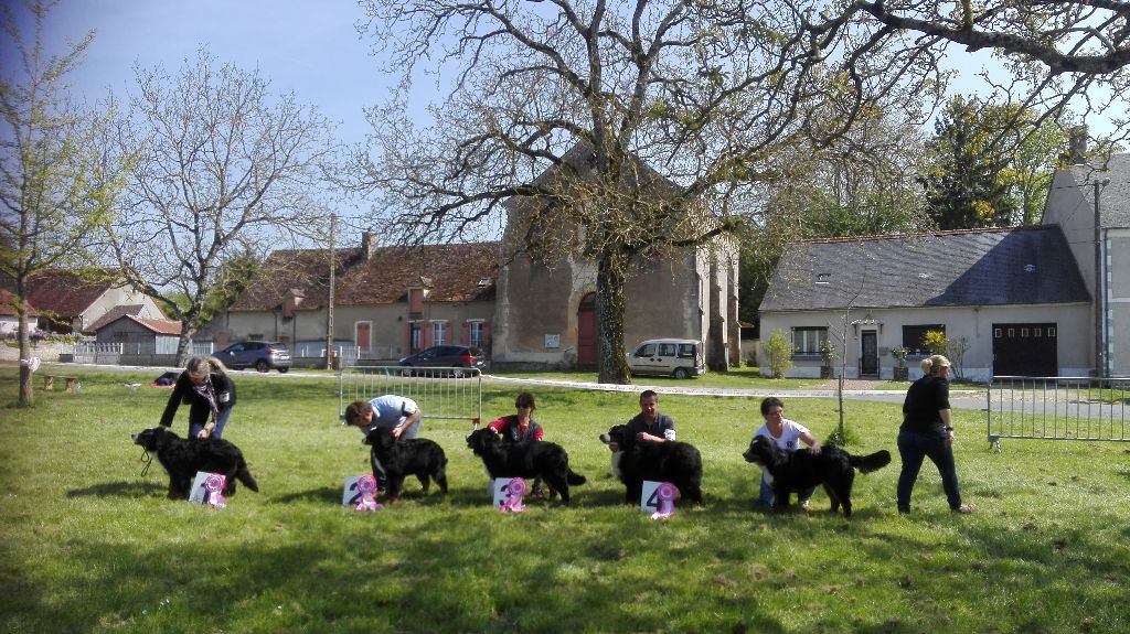 Mar-yâm des Chapeliers de Casella - 3ème Très Prometteur