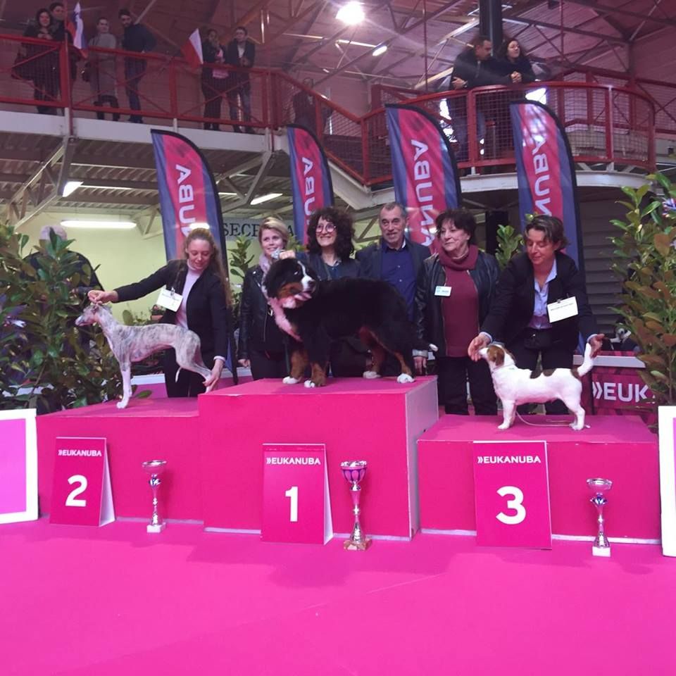 Mar-yâm des Chapeliers de Casella - 1er Très Prometteur. MEILLEUR BABY. BEST BABY