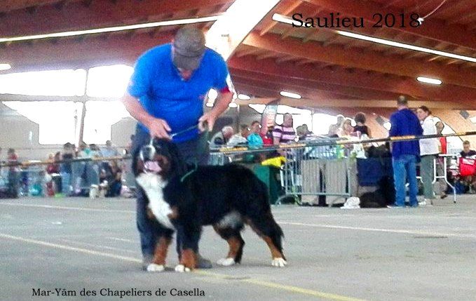 Mar-yâm des Chapeliers de Casella - 2ème EXCELLENT