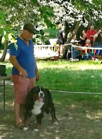 Mar-yâm des Chapeliers de Casella - 1er Excellent. CACS. BOB