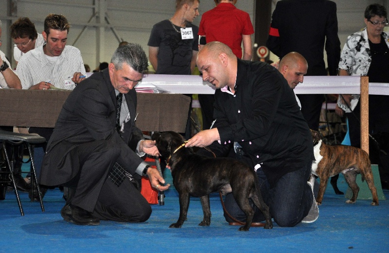 small comics Joseph - Excellent classée second sur 15