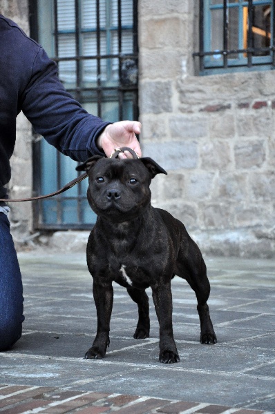 small comics Joseph - arrivé en retard ...