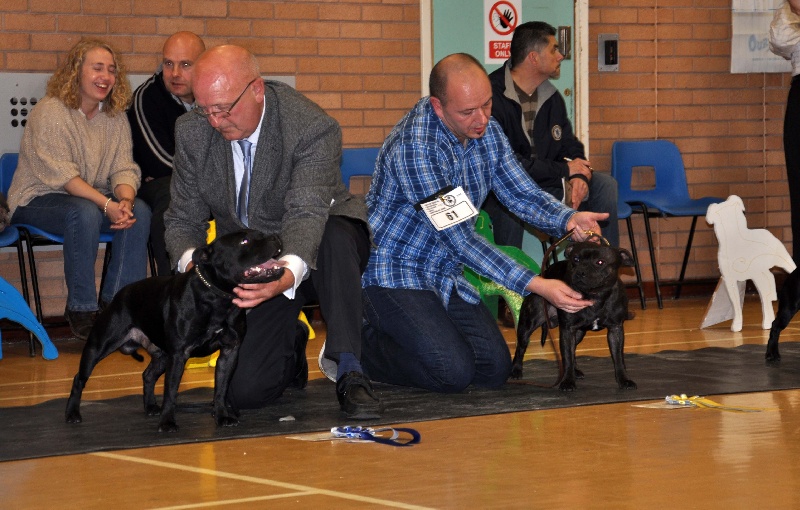 small comics Joseph - Troisiéme en classe Yearling/ Troisième en classe Post Graduate