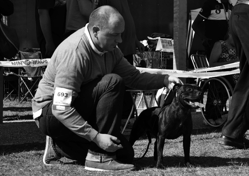 Dandy's Roots Glory family - Très Bon non classé / Classe Jeune