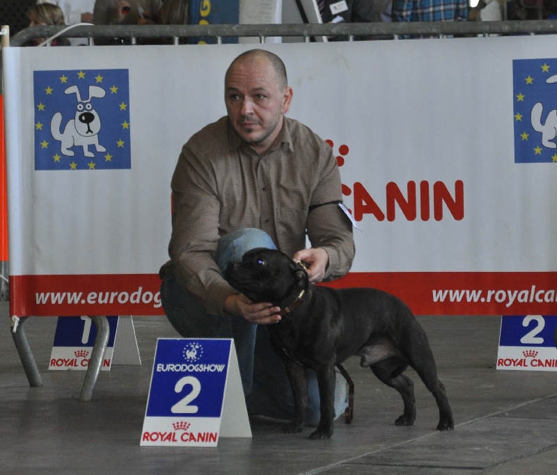 small comics Joseph - Second Excellent