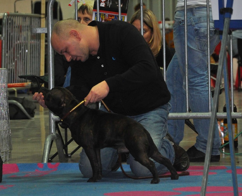 small comics Joseph - Second / Excellent