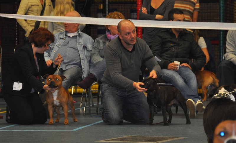 small comics Joseph - Excellent non classé/ retenue dans les 10 premiers