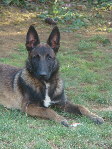 Publication : Des Merveilles De Saint Roch