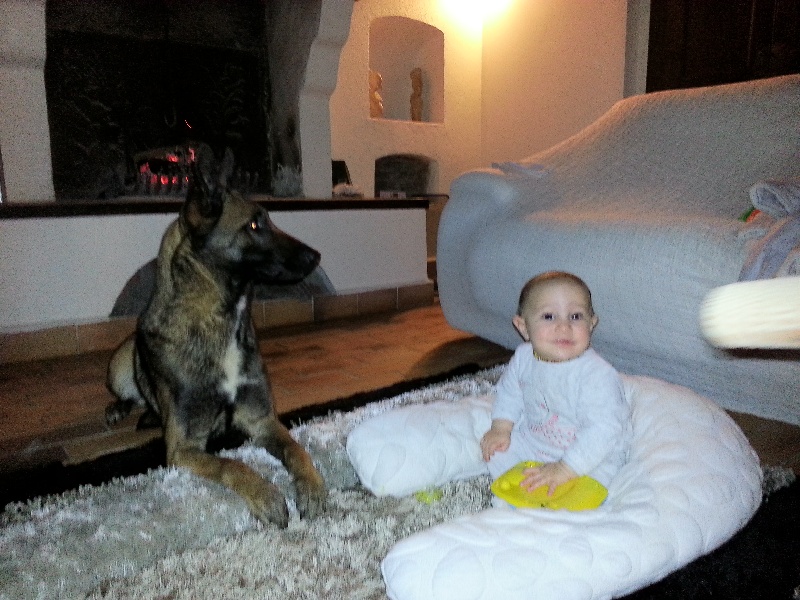 Publication : Des Merveilles De Saint Roch