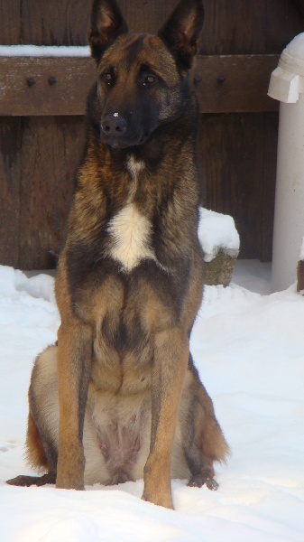 Publication : Des Merveilles De Saint Roch