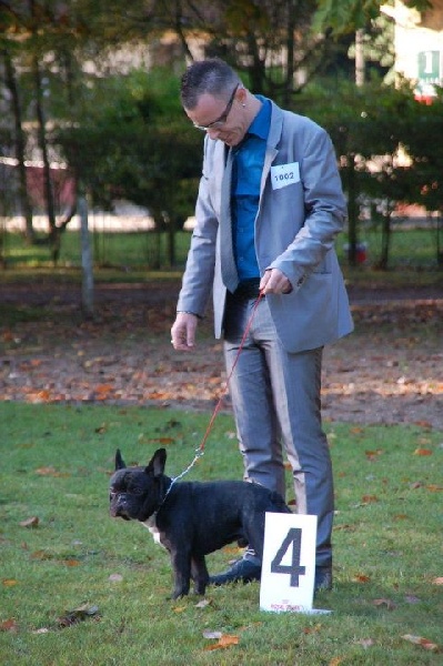 El'boy jc des chemins du bout du monde - 4ème Excellent