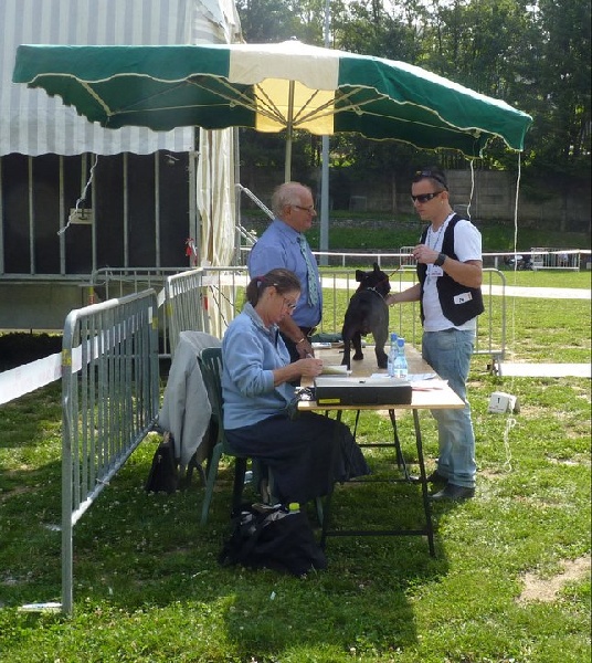 El'boy jc des chemins du bout du monde - 1er Excellent C.A.C.S.