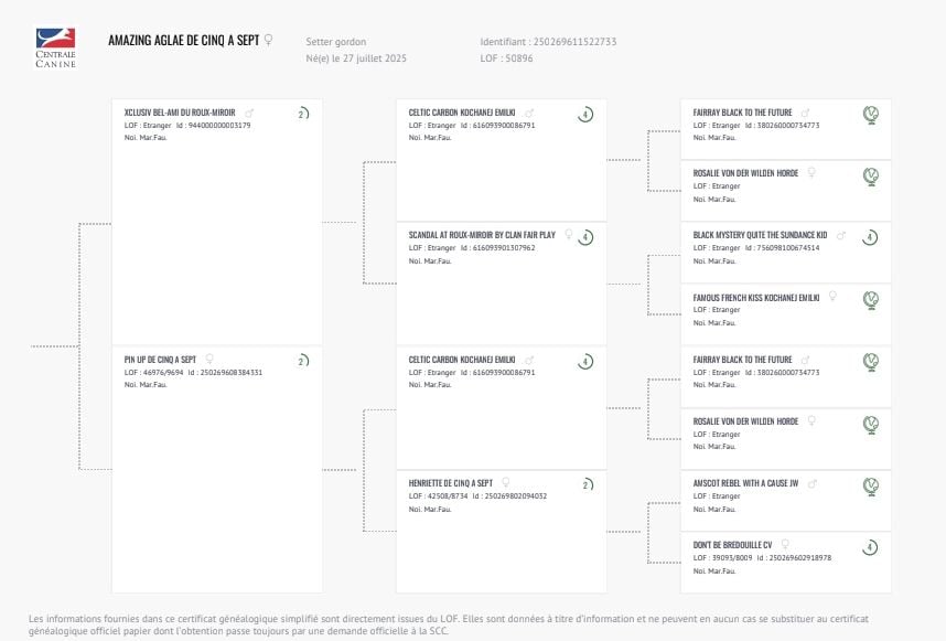 Amazing aglaé de cinq a sept