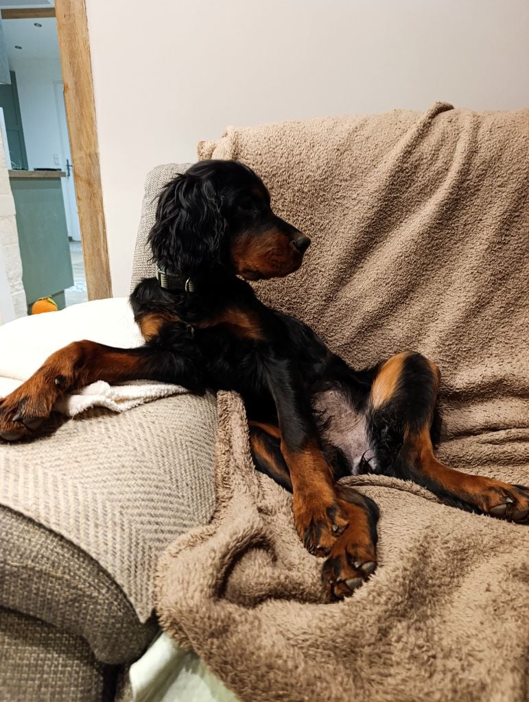 Amazing aglaé de cinq a sept