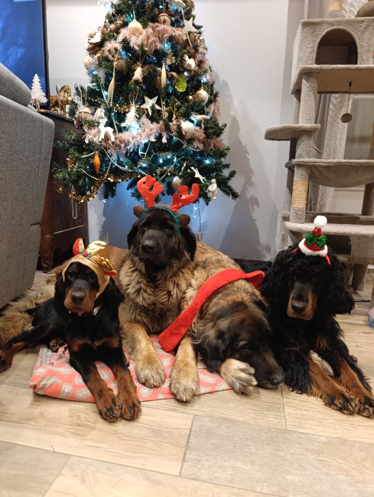 Amazing aglaé de cinq a sept