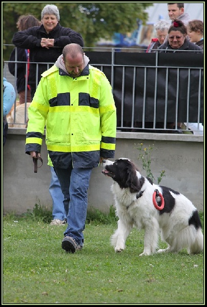 Publication : Du Castel De Warluis