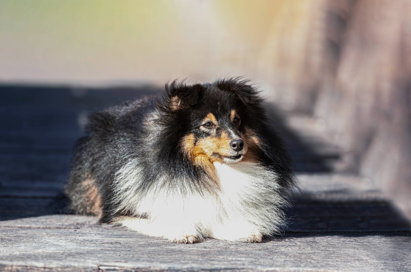 Vic sweet malicious Of Pretty Countess