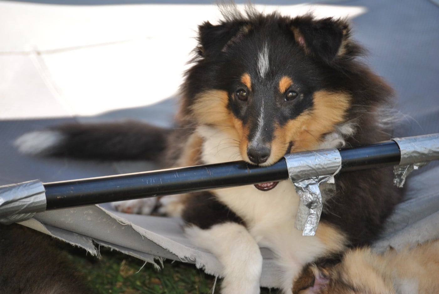 Vic sweet malicious Of Pretty Countess