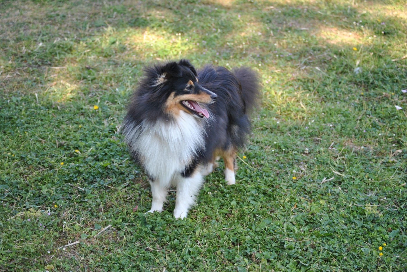 Vic sweet malicious Of Pretty Countess