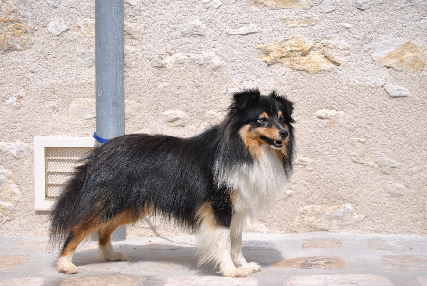 Vic sweet malicious Of Pretty Countess