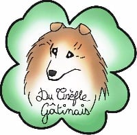 du trefle gatinais