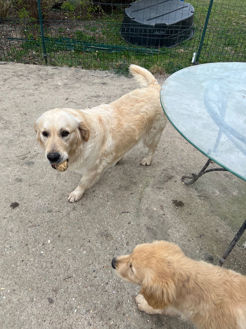 Victoria des sables d'ipaména