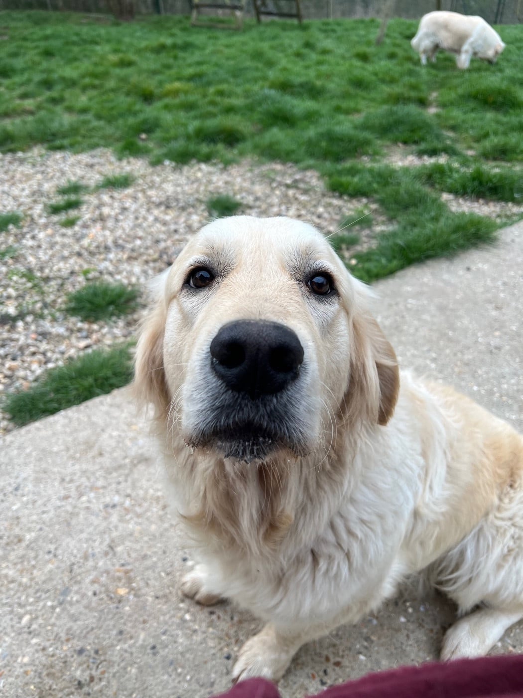 Victoria des sables d'ipaména
