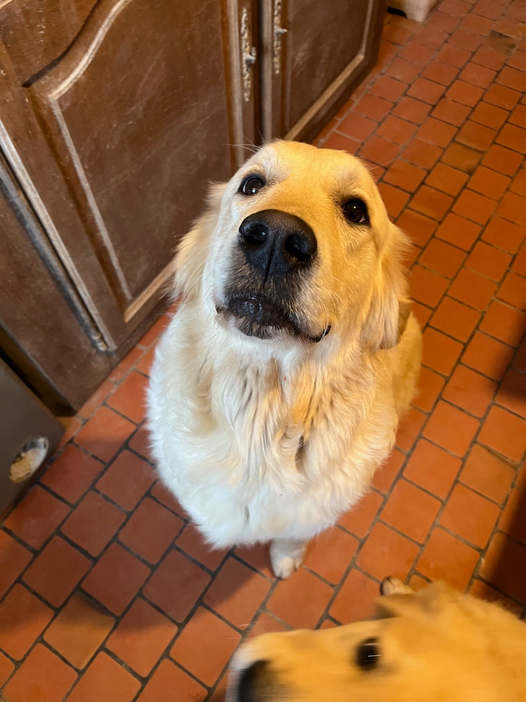 Victoria des sables d'ipaména