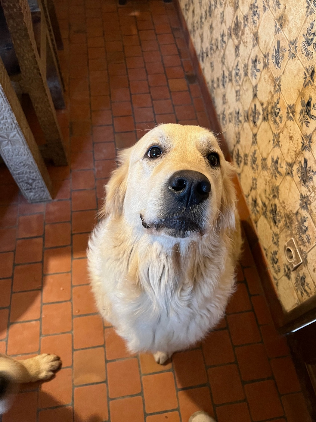 Victoria des sables d'ipaména