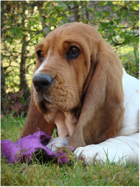 Fantasy (Sans Affixe)