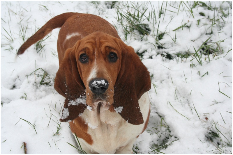 Fantasy (Sans Affixe)