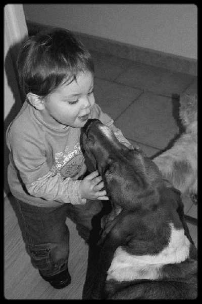 Fantasy (Sans Affixe)