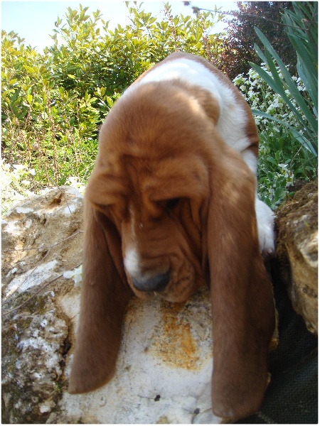 Fantasy (Sans Affixe)