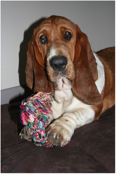 Fantasy (Sans Affixe)