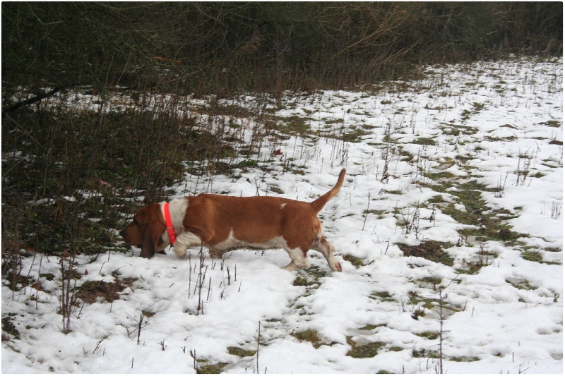 Fantasy (Sans Affixe)