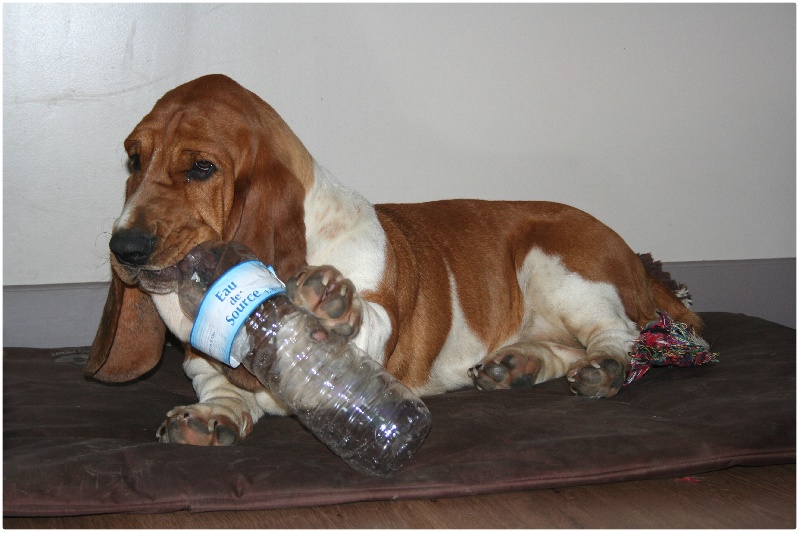 Fantasy (Sans Affixe)