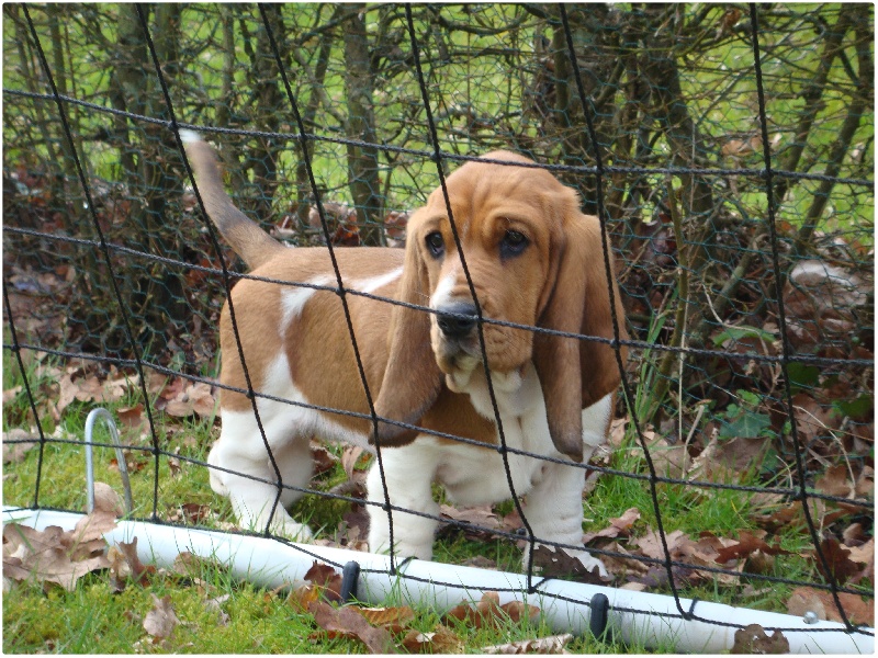 Fantasy (Sans Affixe)