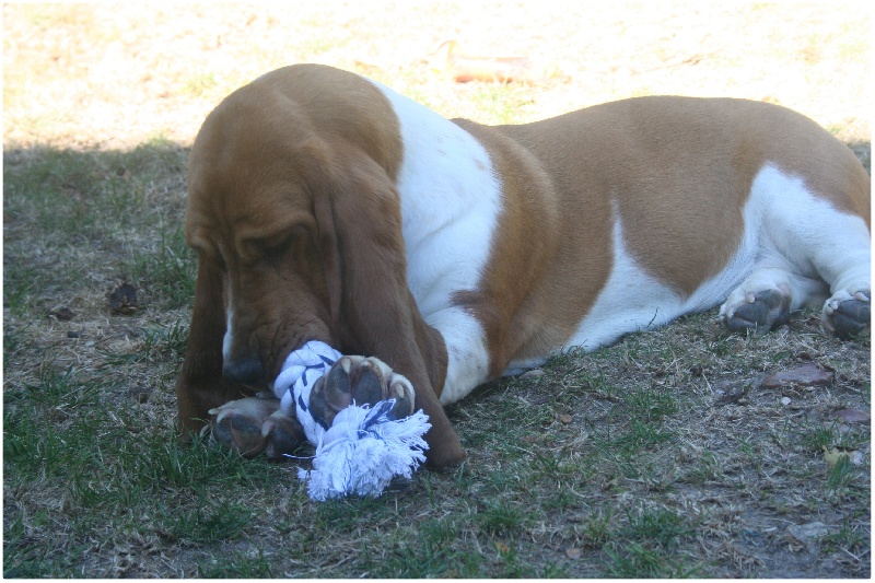 Fantasy (Sans Affixe)